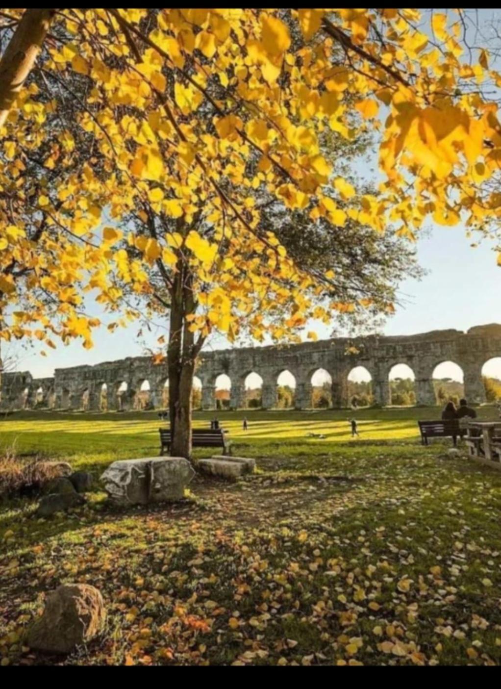 La Casa Di Sol Roma